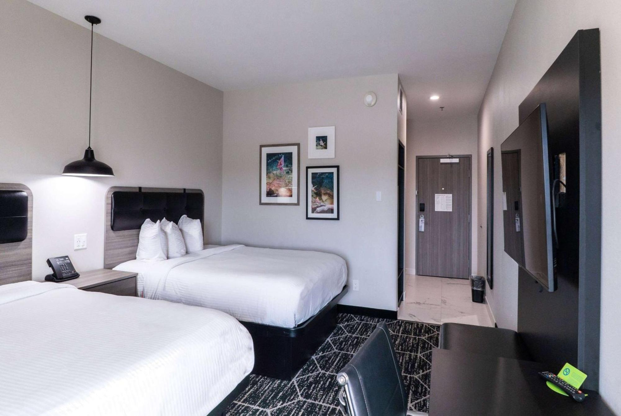 La Quinta Inn & Suites By Wyndham Corpus Christi Southeast Extérieur photo